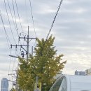 연제구-121 | [부산 연제구 연산동] 부산 연산동 맛집 추천 토곡 맛집 '아강춘'