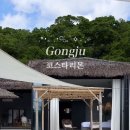 코스타리몬 이미지