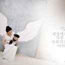 플라워 솜사탕