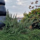 보련경로당 이미지