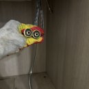 두정대우아파트(2차) 이미지
