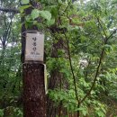 충남농산 Daum카페