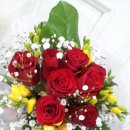 후리지아 이미지