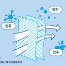 메디노크 이미지