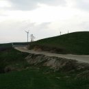 그린제일목장 이미지