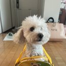 제제네멍치원(성내점) 이미지