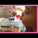 태희정육점 이미지