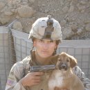 히얼퍼피 이미지