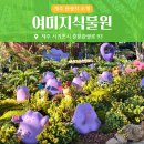 그린가든 | [제주]식물원 속에서 포켓몬을 찾다! 여미지식물원 포켓몬 그린가든 콜라보 체험 후기