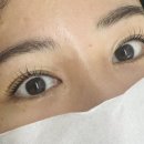 플러피 왁싱앤래쉬