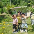 조마초등학교 이미지