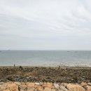 장고항2리 이미지