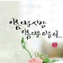 꽃띠 Daum카페