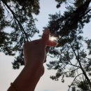 (주)신안자동차 이미지