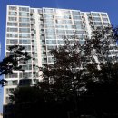 영덕현대주유소 이미지