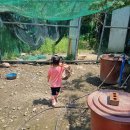 주하농장 이미지