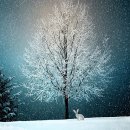 여주-0419 네이버블로그