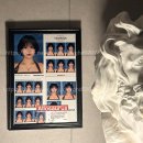 알로사우루스 | 힙한 사진관 연남 알로사우루스 Allosaurus