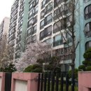 잠원동부동산중 급매물을 살수 있을까요? 이미지