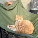 마리의부엌스테이 | [별빛스테이 내돈내산] 공주/세종/천안 인근 숙소🤍펜션+글램핑🤍불멍+물멍