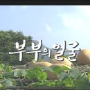 [전원일기] 일용이母子 극혐 시리즈 부부의얼굴 1화 이미지