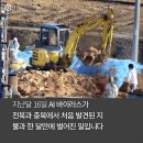 계란나라 이미지