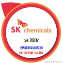 SK 케미칼 채용 / 19년 3분기 HR 신입 이미지