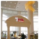 엘 꼬시네로 이미지