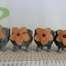 석화미용실 이미지