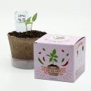 팜팜농장 이미지