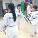 명품 백두 태권도 이미지