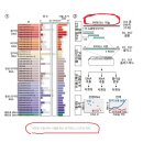 ■ mRNA 백신 성능 향상시키는 염기 서열 찾았다. 이미지