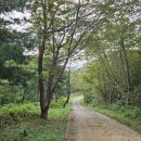 동해축산 | 일상의 수고를 보상받는 염포전망대 방문 후기