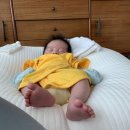 올포레친환경마켓 | 수호와 함께한 142일 +육아 꿀템 정리