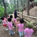 대양어린이집 이미지