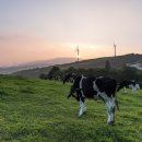 햇살목장 이미지