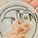 아잉독앤캣 | 눈에 보이는 비즈 캡슐 알갱이, 더독앤캣 비비캣 리퀴드 짜먹는 영양간식 후기