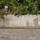 지례중학교부항분교장 이미지