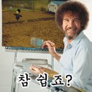 소호야생차 이미지