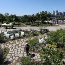 뚝섬한강공원-20 이미지