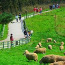 장군목장 이미지