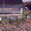 달우물농장 이미지