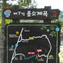 제111회 강원도 홍천군 백우산&용소계곡(물놀이) 정기산행 예약 이미지