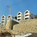 알테르문디 이미지