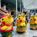 경희대 천호태권도 이미지