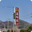 진샘코다리 이미지