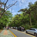 호텔 다향 - A | 속초 설악 케이블카(주차꿀팁)주말 방문 후기&amp; 척산족욕공원 내돈내산 속초여행