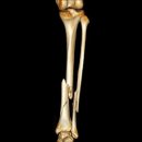 매듭병원 이미지