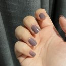 브라운스프링(Brown Spring) 이미지