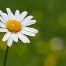 대성유치원 | 김영혜 원장님, 대성유치원 출강 후기